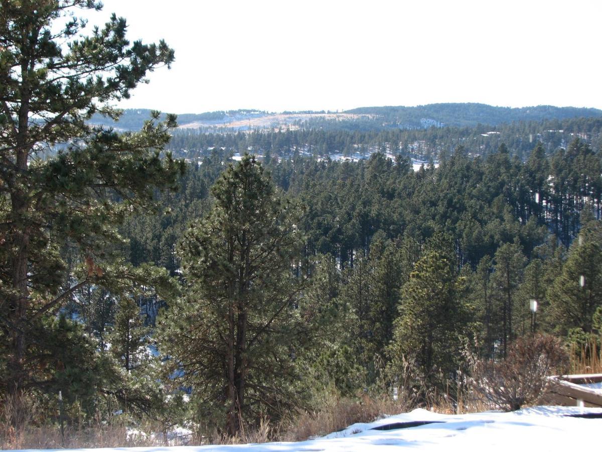 Priceless Black Hills View ラピッドシティ エクステリア 写真