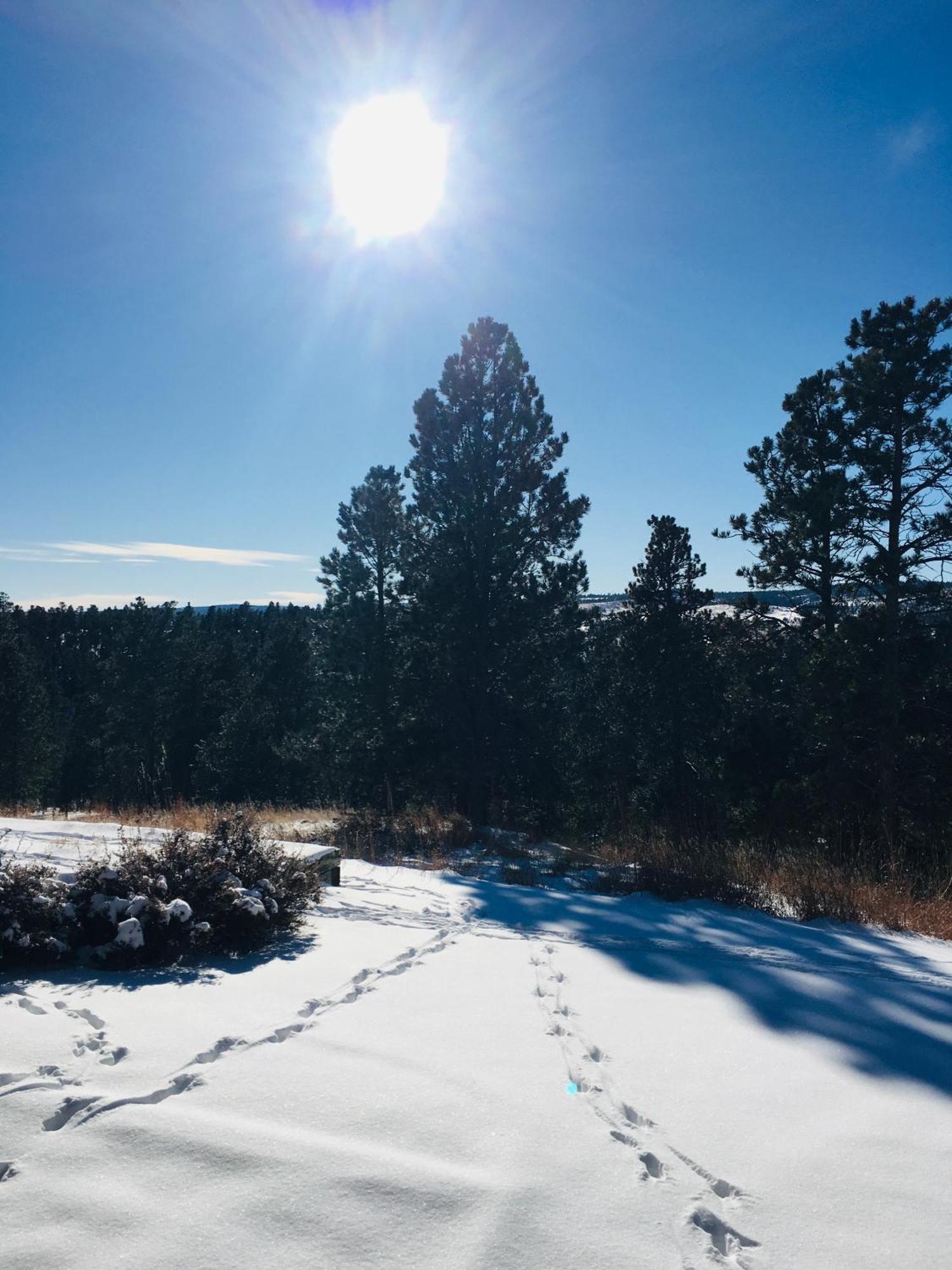Priceless Black Hills View ラピッドシティ エクステリア 写真